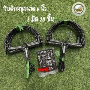 กับดักหนู 6 นิ้ว 2 มัด 20 ชิ้น แถมขี้ใต้1แผ่น ราคา 225฿