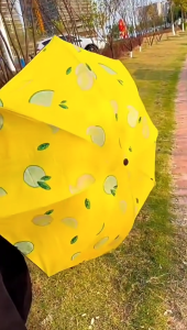 Bear Sun Rain Foldable Umbrella UV Protection Folding Umbrella