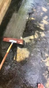 Chổi cọ rêu vệ sinh sàn nhàsân vườnvệ sinh bế bơihồ cá từ sợi inox không gỉ.