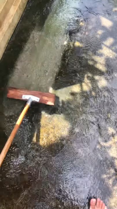Chổi cọ rêu, vệ sinh sàn nhà,sân vườn,vệ sinh bế bơi,hồ cá từ sợi inox ...
