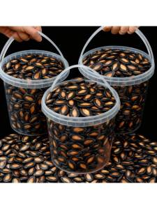 Jumbo Black Melon Seeds Five-Spice Plum Flavor 500g