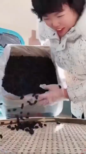 Original 3F Food Soft-Dried Black Mulberries 100g/250g/500g Lower cholesterol Good for the heart