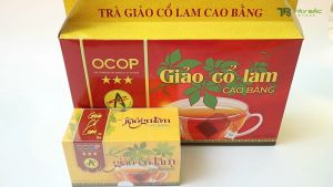 Trà Giảo Cổ Lam Túi Lọc Chuẩn OCOP Cao Bằng dượᴄ Liệu Sạch Giảo Cổ Lam 5 Lá