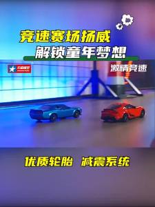 HONGXING TOYS | Driftable RC Car Model 1:24 Scale