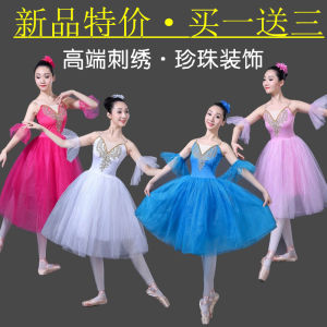 Adult Long Ballet Skirt TUTU Dance Practice Suit Puffy Skirt New Arrival Small Swan Lake Performance Costume