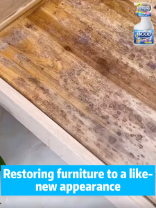 ✨From Japan✨Mold remover for wood 500ml Mold remover