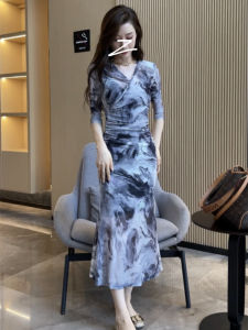 Hong Kong New Chinese Retro Ink Painting Two-Piece Set Womens Spring Summer Thin Slimming Mesh Wrap around Skirt Dress