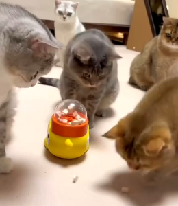 Little yellow duck food dispenser cat toy pet treat freeze-dryer dog food dispensing device.