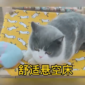 เปลแมว ถอดเสริมสร้างสุขภาพ เตียงแมวไม้ เปลแมว นอนแมว สัตว์เลี้ยง พื้นที่ไม่เยอะ เคลื่อนย้ายง่า