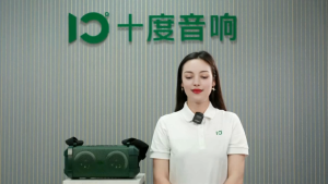 SHIDU X1 Portable Bluetooth Speaker with Wireless Microphone 60W Party Microphone and Speaker Set with 5 Lights /3 Sound Effects/UHF Microphone/Deep Bass/TF/U-Disk/AUX