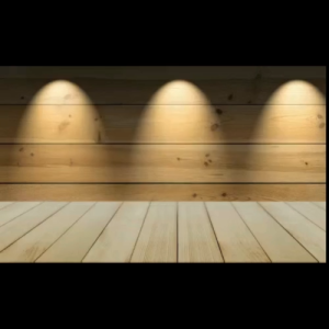 TIMBER GUARD WOOD PROTECTOR MEDIUM BROWN OR CLEAR - 1 L OR 4L ANTI-TERMITES