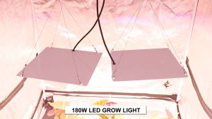 65W 120W 180W ไฟปลูกพืช SamsungLM301H EVO หรี่แสงได้ ไฟปลูกกัญ ไฟช่วยต้นไม้ตัวเร็ว สำหรับพืชในร่ม