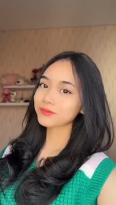 Semir Rambut Henna EAGLES & HERBUL Hair Dye - Pewarna Rambut - Hair Color