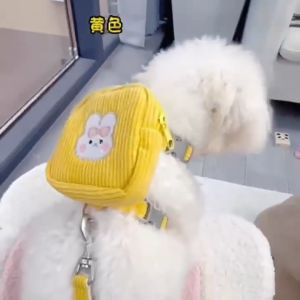 💥ลดล้างสต๊อก💥เสื้อรัดอก เสื้อหมา เสื้อแมว สายจูงหมา สุนัข สายจูงแมว สายจูงสัตว์เลี้ยง ลายตาราง