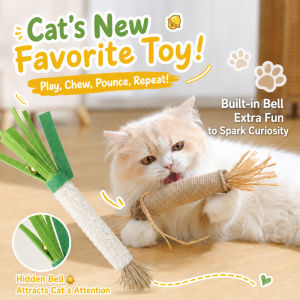 Teekland Cat Toys Silvervine Chew Stick Kitten Treat Catnip Toy Kitty Natural Stuff with Catnip for Cleaning Teeth Indoor Dental Carrot Scallions Shape