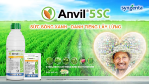 ( Syngenta ) ANVIL 5SC (250ML) - THUỐC TRỪ BỆNH PHỔ RỘNG - Hàng Hiệu Chính Hãng