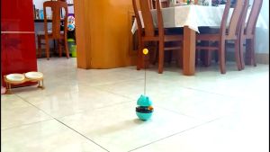 Mainan Cakaran Kucing Cat Play Toy Cat Freeder Cat Scrather Mainan Bola Bulu Garukan Kucing Anjing