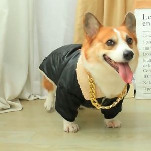 PMT Pet Necklace Fashion Dog Cat Plastic Gold Chain Dog Necklace 35cm/42cm Adjustable length COD