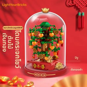 light your bricks | Transparent Dustproof Cover for Model Display