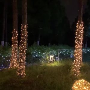 Solar String Lights Outdoor LED Fairy Lights with 8 Modes Solar Powered Hanging Lights for Patio Garden Party Christmas Decor