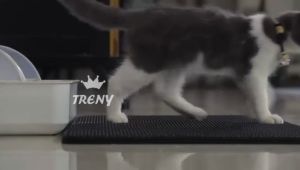 TRENY BIG SIZE Waterproof Pet CAT LITTER MAT EVA Double Layer Box Pasir Tandas Kucing Pads Anti Splash
