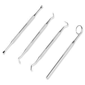 Dearbeauty 4PCS Dental Hygiene Tool Kit Instruments Dentist Tartar Scraper Scaler Calculus Plaque Remover Teeth Cleaning Oral Care Tool