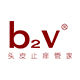 B2V Global