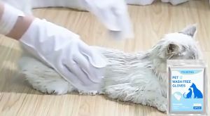 ลดแค่ 3 วัน เท่านั้น ถุงมือสัตว์เลี้ยงแบบใช้แล้วทิ้ง ดับกลิ่น ดูแลผิวสุนัขและแมว ถุงมือทำความสะอาดระงับกลิ่นกายสำหรับแมวและสุนัข 6pcs