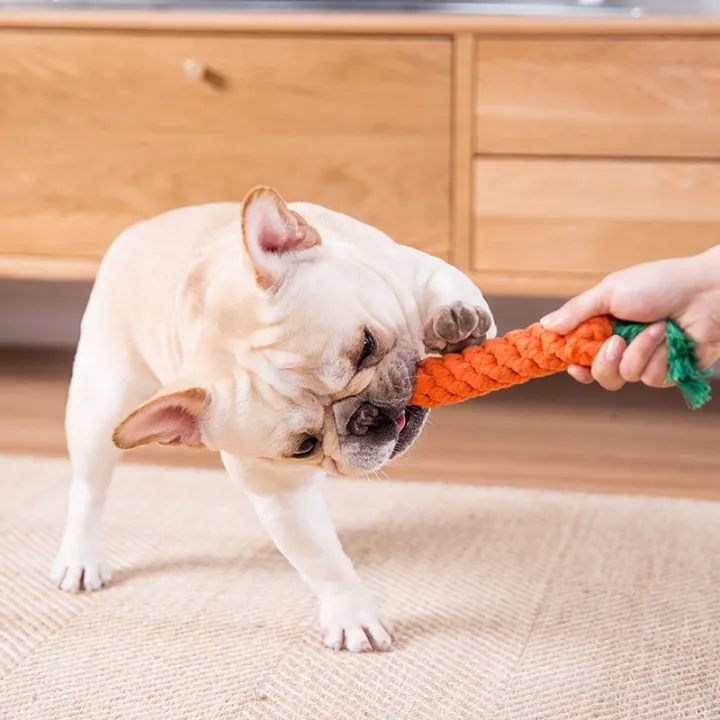 hipidog%20%7C%20Chew%20Resistant%20Dog%20Toy%20For%20Teething%20Puppies%20-%20Image%203