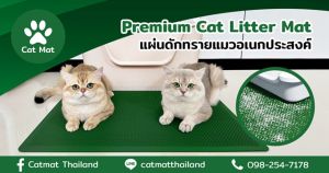 Cat Mat แผ่นดักทรายแมวอเนกประสงค์