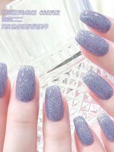 New Arrival Summer Girl Micro Glue Explosion Flash Net Red Nail Polish Shiny Shiny Nail Polish Large Bottle Shiny Purple Manicure Set
