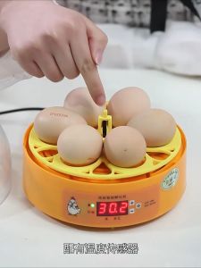 Chicken Incubator Small Home Intelligent Incubator Egg Incubator Automatic Hatching Machine