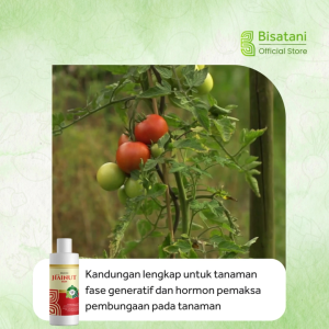 Hainut Buah 100ml Pupuk Pelebat Buah dan Bunga Tanaman Nutrisi biar Cepat Berbuah Pupuk Buah Super Lebat