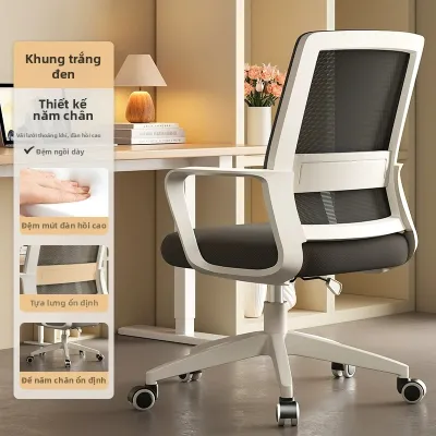 ZANMI | Ghế Văn Phòng Học Tập thoải mái