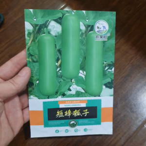 Hạt giống bầu Non siêu trái bầu sao xanh ngắn siêu trái - Hoang My food and beauty