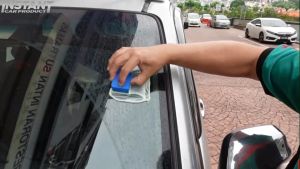 Watermark Remover Compound (100g Cream)