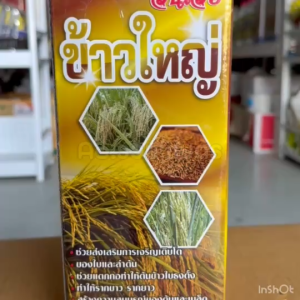 น้ำตาลทางด่วน + อะมิโน แอซิด ข้าวใหญ่ ฮอร์โมนข้าว อะมิโนข้าว บำรุงนาข้าว แตกกอ เร่งเต่ง ลมเบ่ง เมล็ดเต่ง ได้น้ำหนัก 1L.