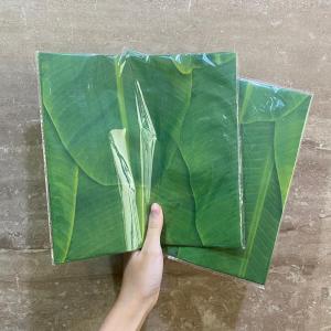 Wax Paper / Kertas Nasi / Baking Laminasi Motif DAUN PISANG Uk 20x20 25x26 cm ~ DESAIN BARU ~ 50 PCS