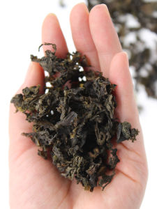 Gansu Special Wild Earth Mushroom Dry Goods No-Wash  Farmhouse Natural Foraging Vegetables Edible Agricultural Products