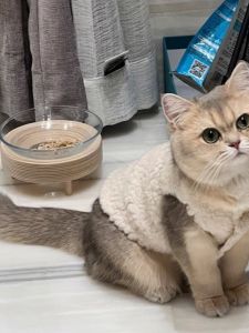 Adorable Cat Vest Warm Lamb Fur Jacket for Kittens Siamese Cat Clothes Small Pet Clothing Warmth And Cuteness Combined