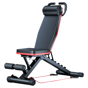 CHONGXIAOMU | Sit Up Adjustable Folding Multifunctional Exercise Chair
