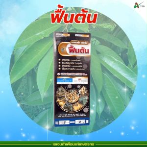 ฟื้นต้น แตกกิ่ง แตกใบ ฟื้นฟูสภาพต้น ใบเขียว ใบแข็งตั้ง หลังเก็บเกี่ยว ต้นสมบูรณ์ ทนสภาพอากาศ เอเจนต้า คอร์ป (หลายขนาด)