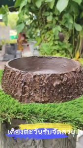 กระถางตอไม้ขนาดปากกว้างปั้นจากปูนพิมพ์ลายตอไม้เหมือนจริงปลูกไม้สวยงาม