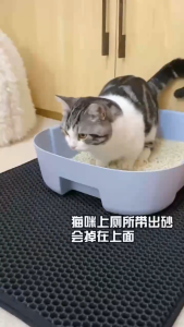 Cross-Border Hot-Selling Cat Litter Mat – Extra Large Double-Layer EVA Pet Litter Box Mat Anti-Tracking keep the floor clean from litter around  the litter box， sand control filter
