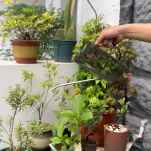 Gardening Watering Can Large Capacity Detachable Watering Kettle Household Stainless Steel Long Mouth