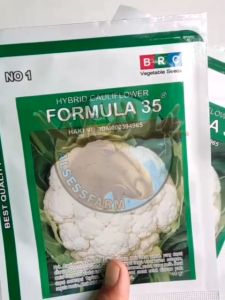 benih bunga kol Formula 35 dari BRC 10 gr