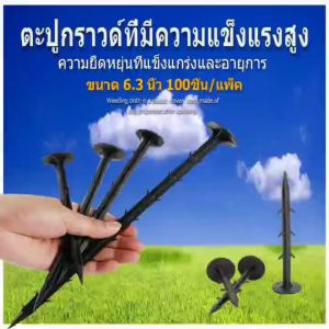 หมุดยึดผ้าคลุมวัชพืช หมุดปักผ้าคลุมดิน หมุดยึดฝาครอบวัชพืช 100 ชิ้น ขนาด 6 นิ สมอบก ตะปูปักดิน ปักดิน หมุดพลาสติก