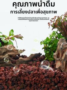 Yee | Natural Decorative Stones Aquarium Filter Material