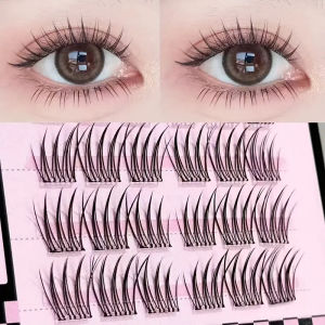 Natural Soft Cat Eye Individual Eyelash Extensions - Reusable Beginner-Friendly Mixed Cluster Thickness for Daily Wear
