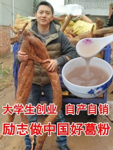 Wild Yam Powder Fresh Farmhouse 250g with Yam Slice Tea Soup Jiangxi Specialty Gracies Flavor Instant Nutritious Drink